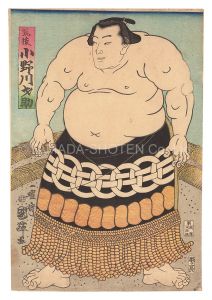 Kuniteru II / Sumo-e: Onogawa Saisuke from Chikugo Province [相撲絵　筑後 小野川才助]