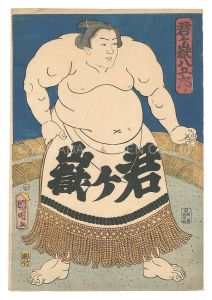 Kuniaki / Sumo-e: Kimigatake Hachigoro [相撲絵　君ヶ嶽八五郎]