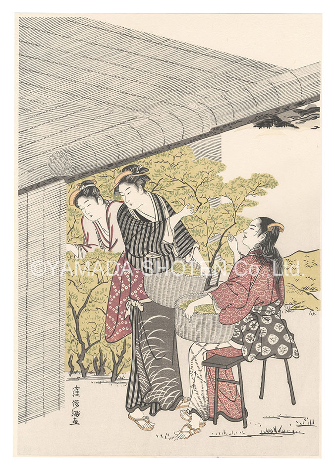 俊満「茶摘【復刻版】」