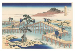 Remarkable Views of Bridges in Various Provinces / Old View of the Eight-part Bridge at Yatsuhashi in Mikawa Province【Reproduction】