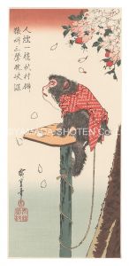 広重初代「桜に猿【復刻版】」