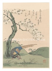 小松軒百亀「桜に雉子【復刻版】」