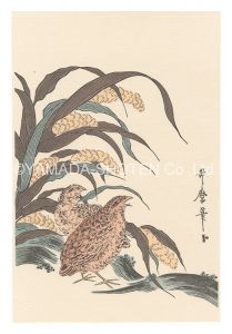歌麿「粟と鶉【復刻版】」