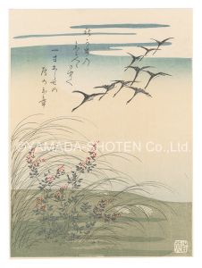 小松軒百亀「芒と雁【復刻版】」