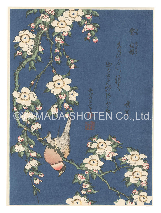 Hokusai “Bullfinch and Weeping Cherry【Reproduction】”