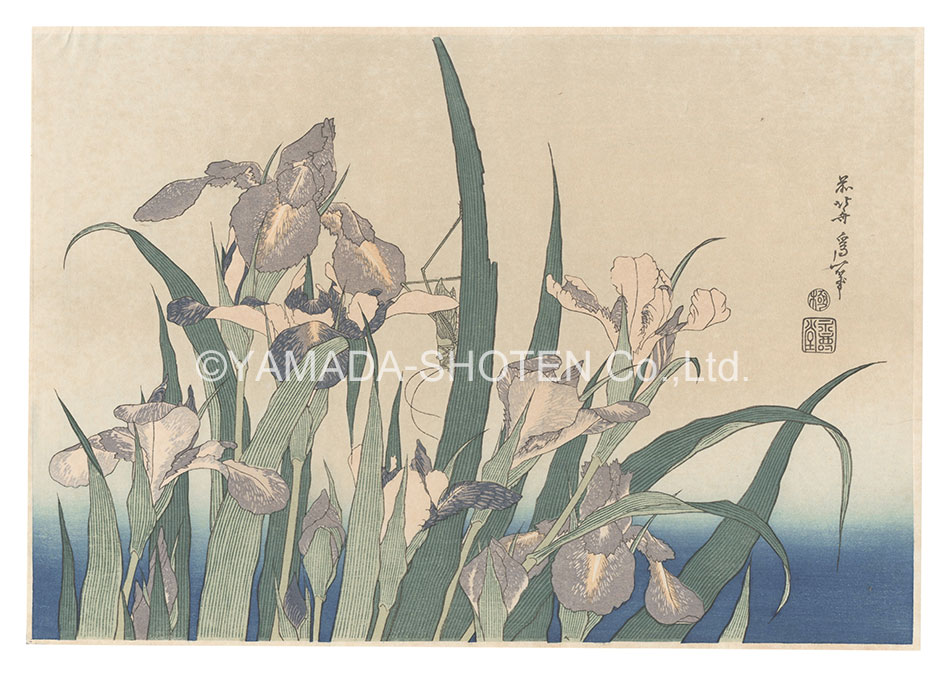 Hokusai “Irises and Grasshopper【Reproduction】”
