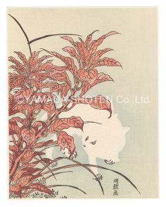Koryusai / Amaranthus and a White Hare【Reproduction】 [葉鶏頭と白兎【復刻版】]