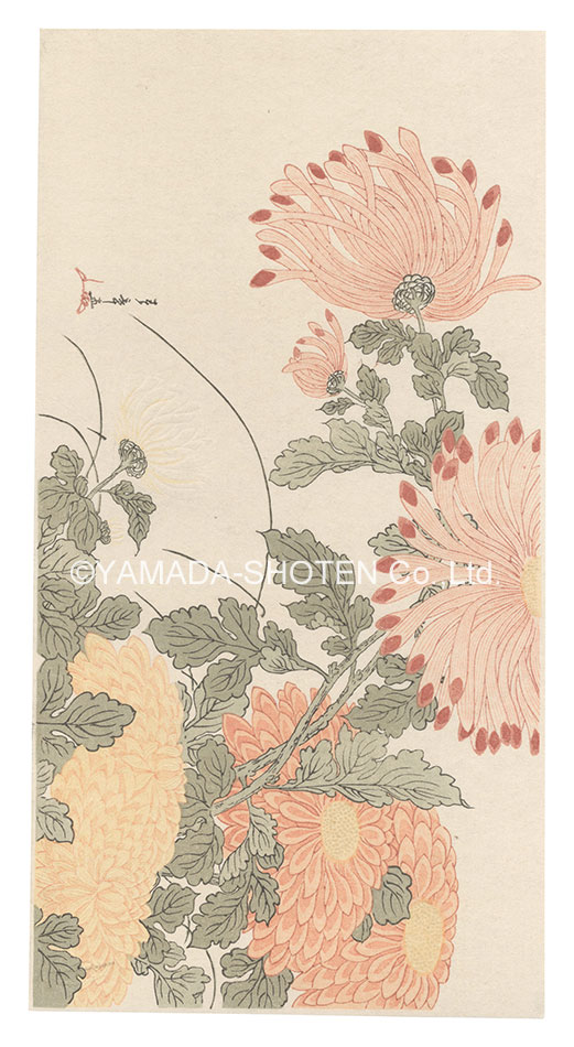 春章「乱菊【復刻版】」