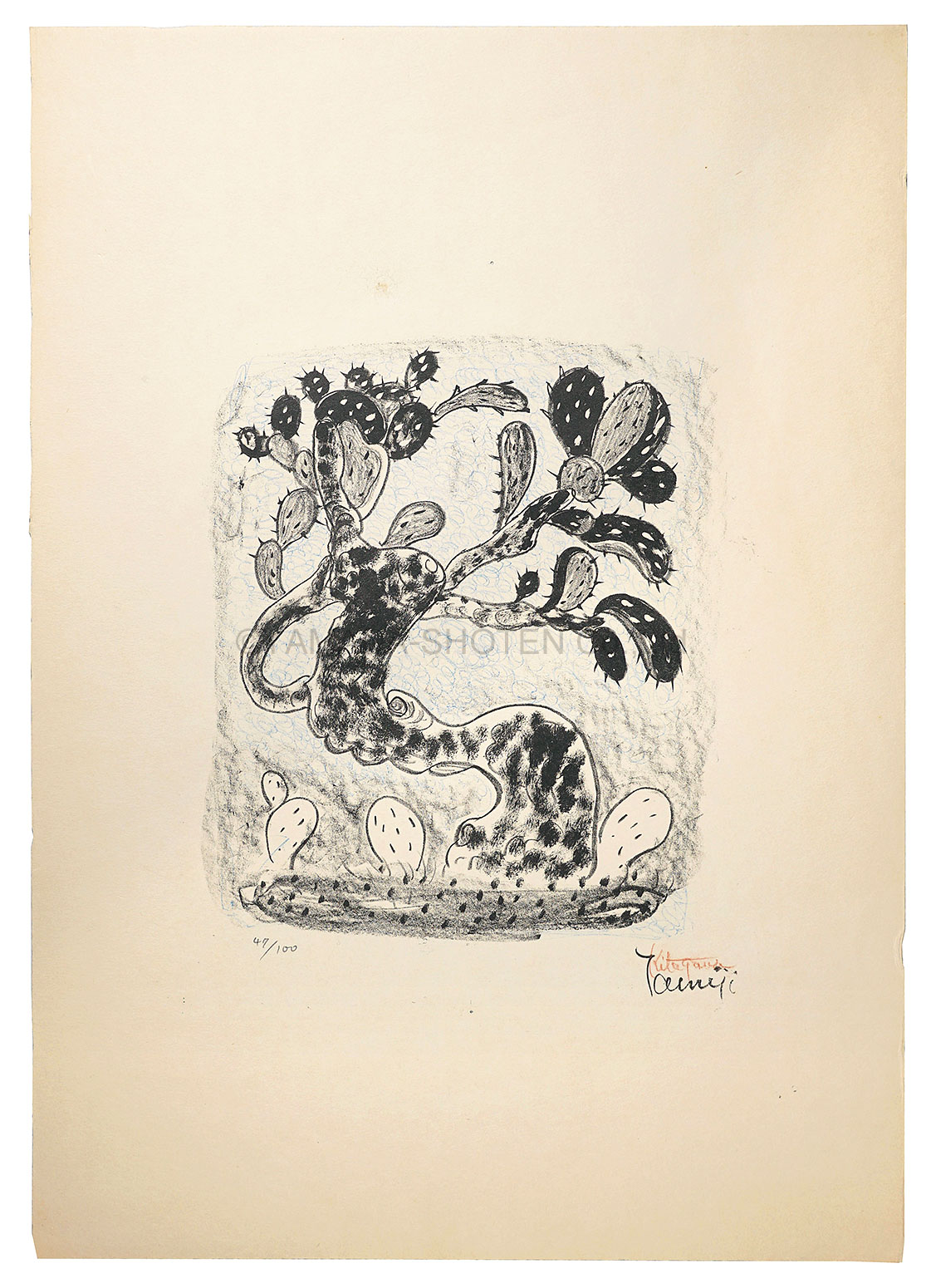 Kitagawa Tamiji “Cactus”