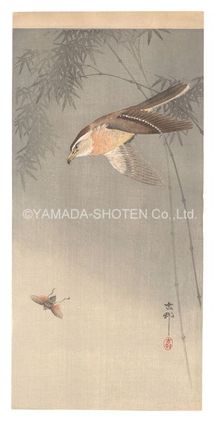 Ohara Koson(Shoson) “Bird Hunting an Insect (tentative title)”