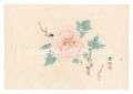 Peony (tentative title)