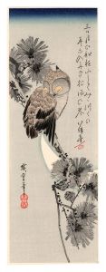 Hiroshige I / Small Horned Owl in a Pine Tree【Reproduction】 [三日月と松上の木兎【復刻版】]
