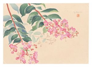 Oguri Yoshiji / Picture Album of Various Flowers / Crape Myrtle