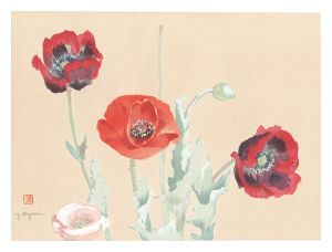 Oguri Yoshiji / Picture Album of Various Flowers / Red Poppy