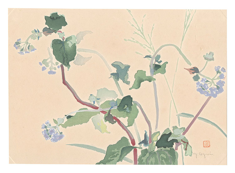 Oguri Yoshiji “Picture Album of Various Flowers / Flossflower”