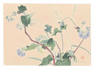 Oguri Yoshiji / Picture Album of Various Flowers / Flossflower