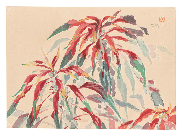 Oguri Yoshiji “Picture Album of Various Flowers / Tampala”