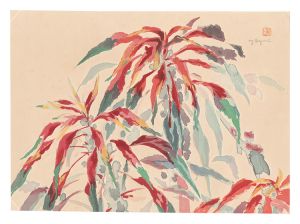 Oguri Yoshiji / Picture Album of Various Flowers / Tampala