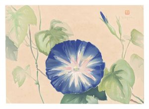 Oguri Yoshiji / Picture Album of Various Flowers / Morning Glory
