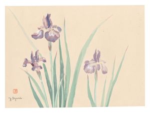 Oguri Yoshiji / Picture Album of Various Flowers / Iris