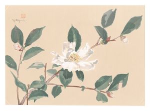 Oguri Yoshiji / Picture Album of Various Flowers / Camellia