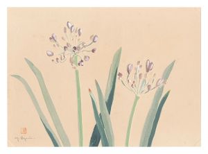 Oguri Yoshiji / Picture Album of Various Flowers / Akaban