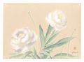 Picture Album of Various Flowe......