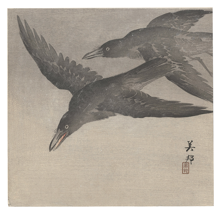 美邦「烏（仮題）」