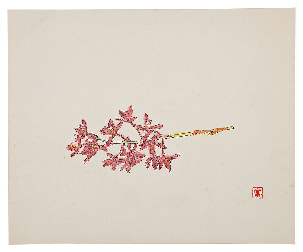 Tomimoto Kenkichi “Orchid”