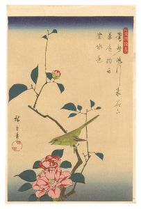 広重初代「和漢朗詠集　椿に鶯【復刻版】」