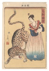 <strong>Yoshimori</strong><br>Picture of Birds and Animals