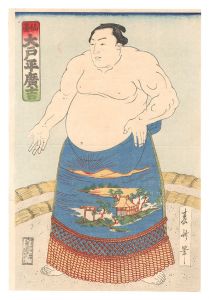 相撲絵　仙台 大戸平廣吉