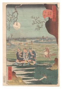 Hirokage / Comical Views of Famous Places in Edo / No. 3: Strange Events at Tomonoura in Asakusa [江戸名所道外尽　三 浅草友甫の奇怪]