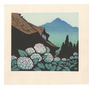 Unno Mitsuhiro / Hydrangea (tentative title)