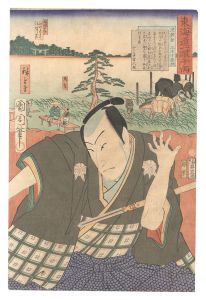 東海道一ト眼千両　池鯉鮒 三木十左衛門