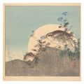 Quail and the Moon (tentative ......