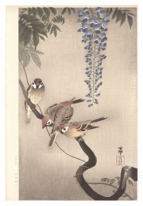 Ohara Koson(Shoson) / Sparrow and Wisteria (tentative title)