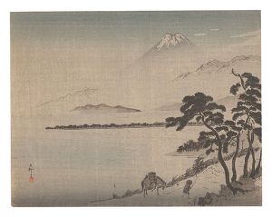 富士（仮題）