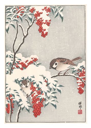 小原古邨（祥邨）「雪中南天に雀（仮題）」