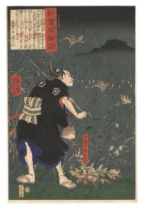 Yoshitoshi / One Hundred Ghost Stories from China and Japan / Samanosuke Mitsutoshi [和漢百物語　左馬之助光年]