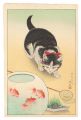 Gold-fish Basin and Cat