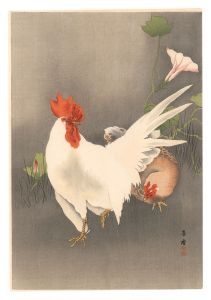 Morita Kako / Rooster and Hen (tentative title)