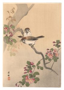 Morita Kako / Sparrows (tentative title)