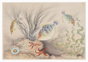 Ono Bakufu / Fish of Japan / No. 9 of Volume 1: Kawahagi(File-fish)