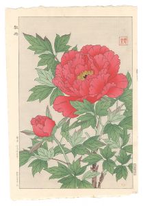 河原崎奨堂「牡丹」