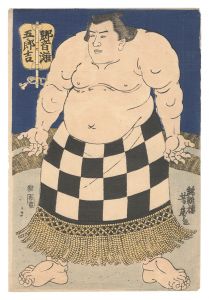 Yoshitora / Sumo-e: Hibikinada Gorokichi [相撲絵　響灘五郎吉]