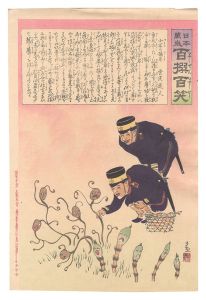 清親「日本万歳百撰百笑　北京の摘草 骨皮道人」