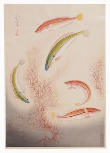 Ono Bakufu / Fish of Japan / No. 4 of Volume 1: Bera