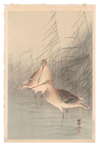 Ohara Koson(Shoson) “Snipe and Reeds”