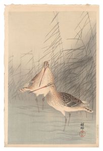 Ohara Koson(Shoson) / Snipe and Reeds